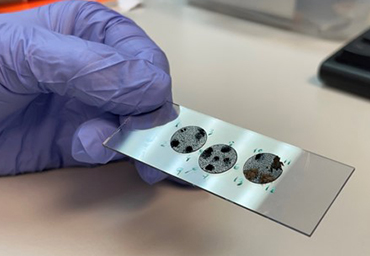 Nanomaterials for Emerging Applications