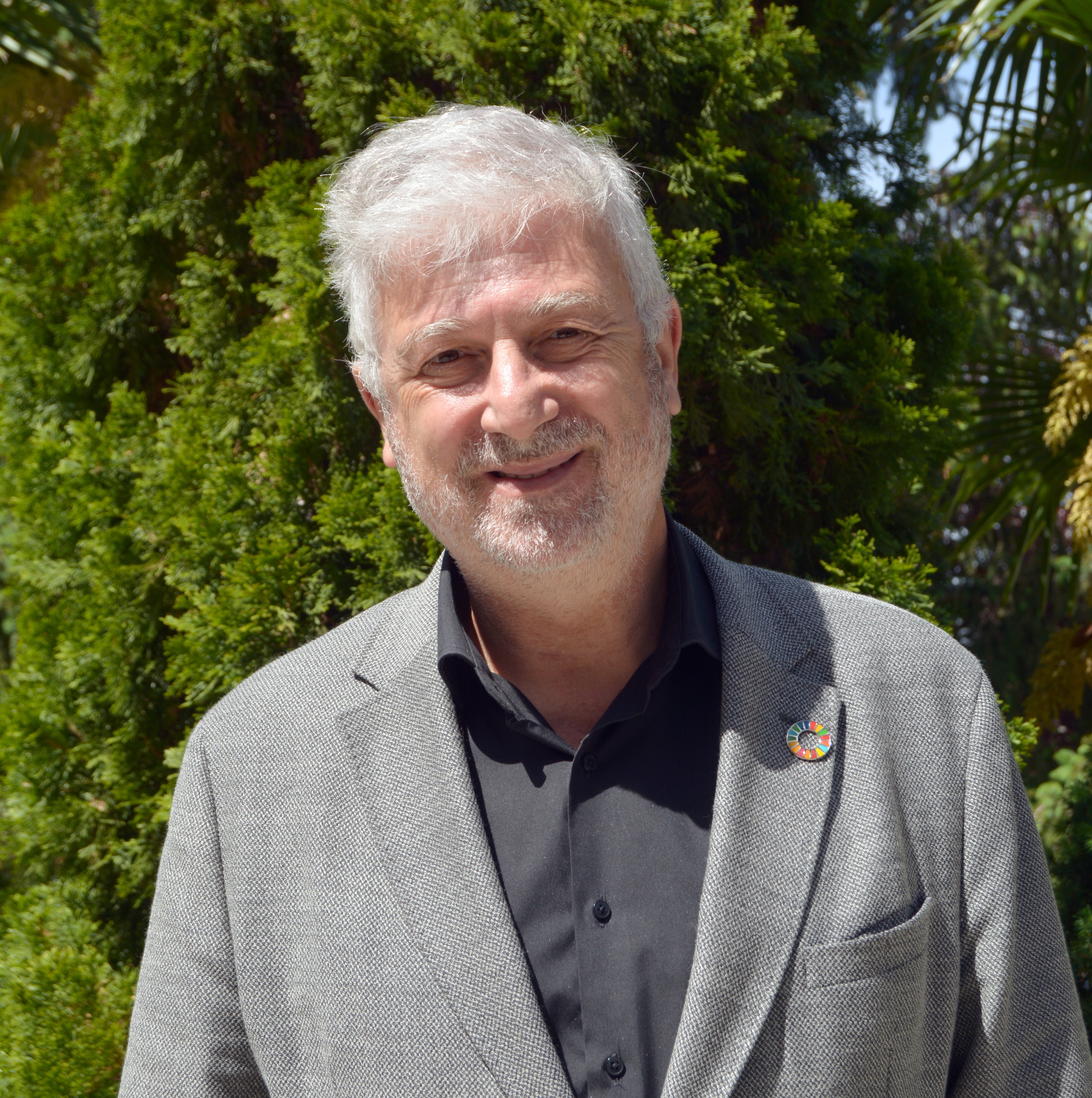 Prof. Fernando Calle Gómez